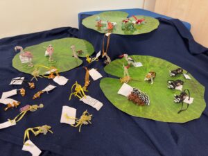 IMG_8085